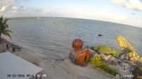 Cancun - Cancun