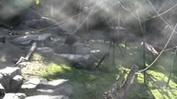 San Diego: San Diego Zoo