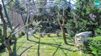 Zagreb - Zagreb: Gyps Webcam - Zoo Live