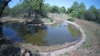 Jimmy's Place: Golden Impalas Bush Resort - Current