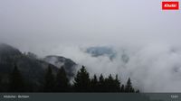 Stadt Kitzbühel - Stadt Kitzbühel: Kitzbühel - Bichlalm