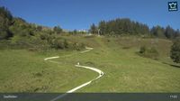 Saalfelden am Steinernen Meer: Saalfelden - Sommerrodelbahn