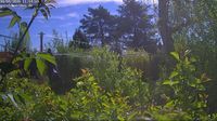 Herzberg › South-west: Wetter-Webcam - Elster - Day time