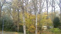 Hilversum: Zeverijn Park - Webcam 1 - Jour