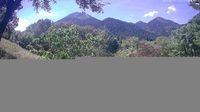 Municipal Unit of Kalavryta: κ. Κάτω Βλασίας › West: Katw Vlasia Webcam - Mount Kallifoni - Overdag