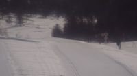 Crévoux: Piste nordique des Anthonys − 1650m