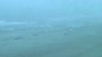 Rosarito: Beach Webcam 2 - Day time