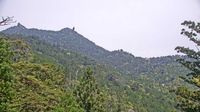 Yakushima: Kagoshima Yaku Island - Day time