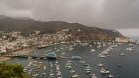 Avalon › North-west: Avalon Bay - Casino Point Dive Park - Day time