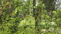 Bluffton: Palmetto Bluff - Day time