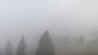 Furtwangen im Schwarzwald: Brend - Feldberg - Kandel
