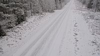 Suomussalmi: Tie 9110 - Seikkala - Tie - Day time