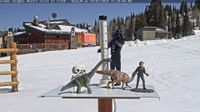 Teton: Grand Targhee Snow Stick - Day time