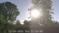 Mole Valley › South: Great Bookham - Leatherhead - Overdag