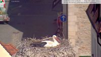 Weiden in der Oberpfalz - Day time