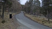 Ballater › North - Day time