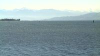 Eriskirch › South-west: Ruderverein Friedrichshafen e.V. - Day time