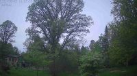 Wilton - Day time