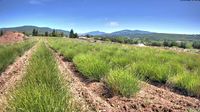 Sault › North-west: Aroma Plantes - Day time