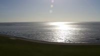 Busumer Deichhausen: Livespotting - Live am Wattenmeer der Nordsee an der Meldorfer Bucht - Day time