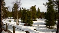 Kuusamo › North-east: Ruka - Jour