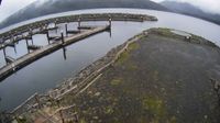 Juan de Fuca Electoral Area › North: Pacific Gateway Marina - Day time