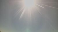 Solihull › South-east: Knighton - Day time