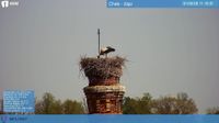 Cheb - Overdag
