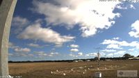 Deniliquin › North-west: Kingscote Airport -> 315 deg - Day time