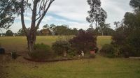 Rowsley › South-west: Coongulla -> SW - Day time