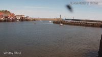 Scarborough: Whitby Harbour - Day time