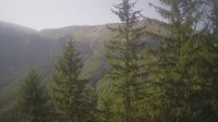 Apriltsi: Lodge 'Pleven' - Day time