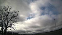 Denman › East: YPCE - Pooncarie -> Facing East - Day time