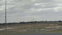 Wentworth › East: YWTO - Windsock East - Day time