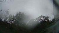 Nashville-Davidson › South-east - Day time
