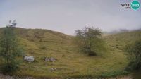 Kobarid: Webcam Krn - Planina Kuhinja ( Plateau Kuhinja ) - Slovenia - Day time