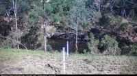 Central Highlands Regional - Day time