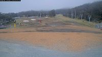 Snowy Monaro Regional Council - Day time