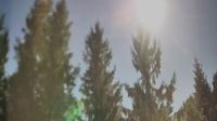 Slattagardet › South-east: Forssa - Day time