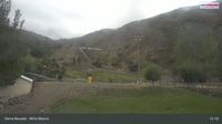 Pradollano: Sierra Nevada - Mirlo Blanco, Mirlo Blanco