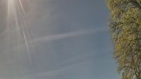 Hamburg › South-west - Overdag