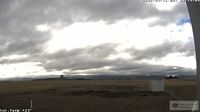 Evandale › North-east: Launceston Airport - Day time