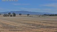 Yellabinna › North-west: YBOC - Booleroo -> Facing NW - Mt Remarkable - Day time