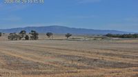 Melrose › North-west: Booleroo - Mount Remarkable - Day time