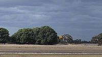 Tintinara › South: Tintinara Airfield - Windstock - Day time