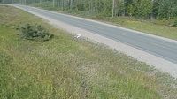 Northeastern Manitoulin and the Islands › North: Highway 6 - Sheguiandah - Day time
