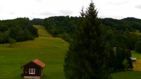 Nova Gorica: Lokve - The beauty of the Trnovo forest - Overdag