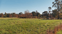 Ararat: Ararat & District Pony Club - Day time