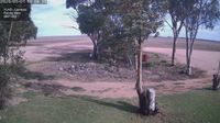 Lameroo › West: Lameroo Airport - Day time