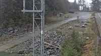 Wrangell: Mitkof Highway - Overdag
